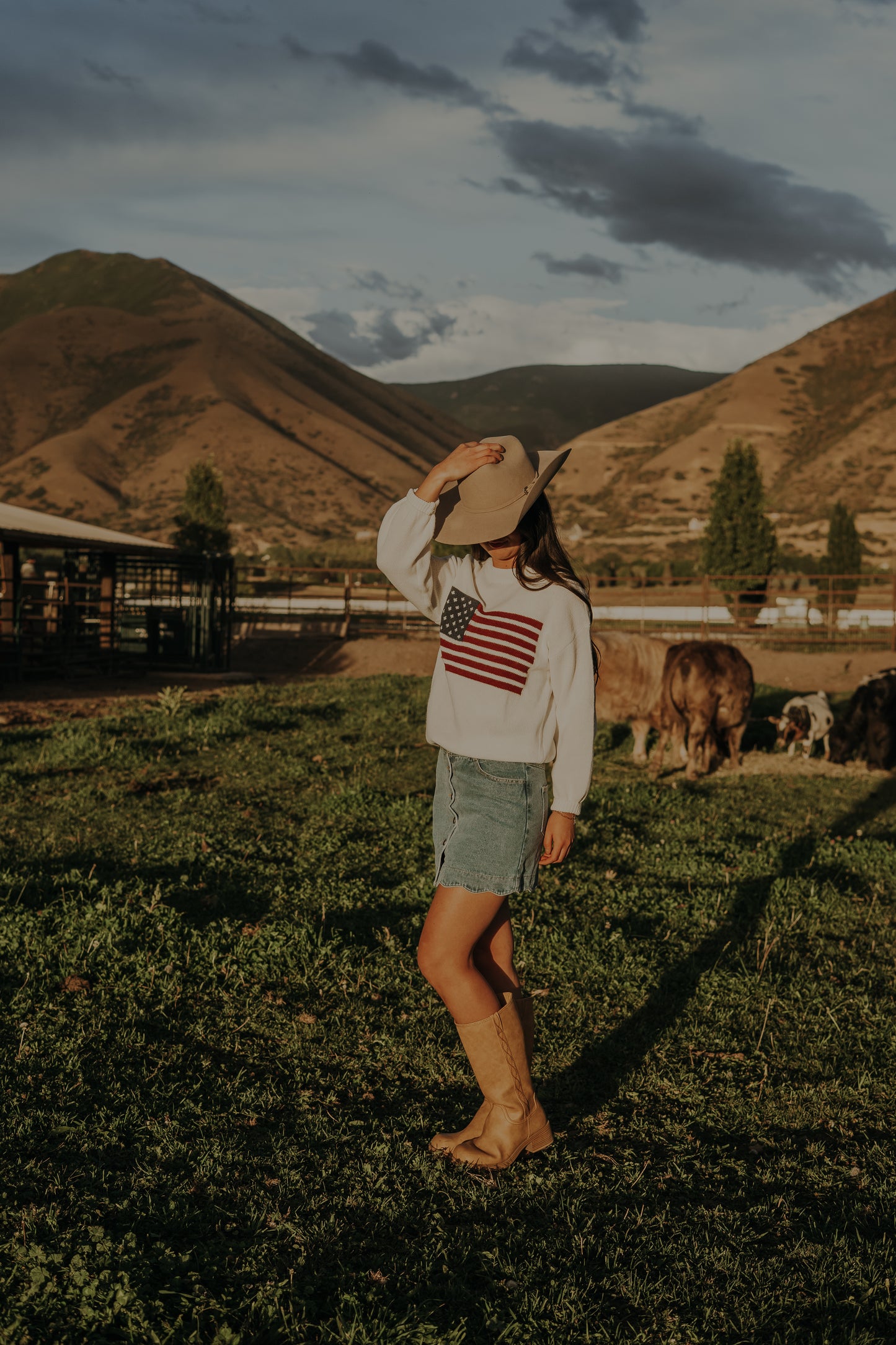 Independence Day Knit Flag Sweater
