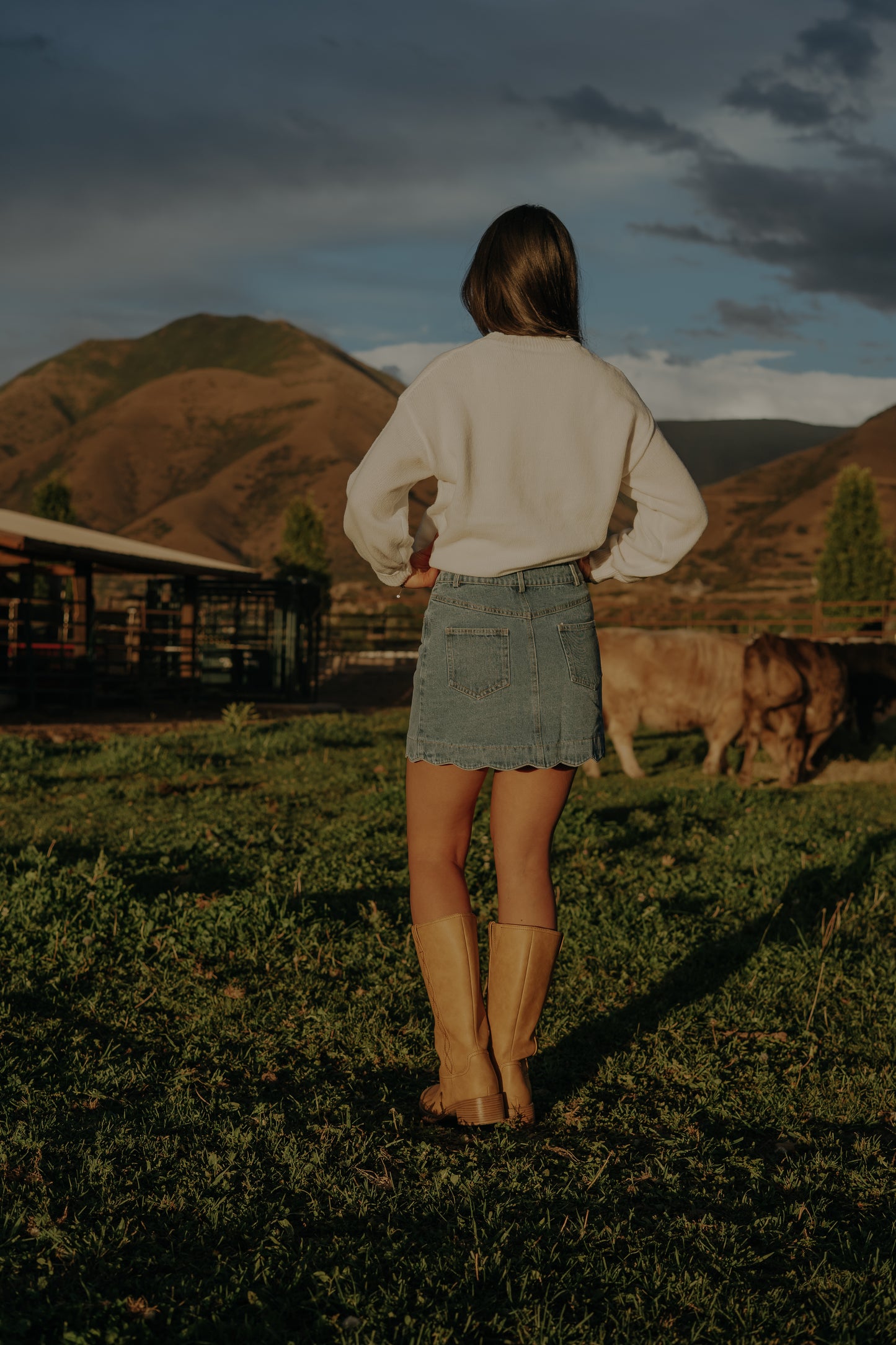 Independence Day Knit Flag Sweater